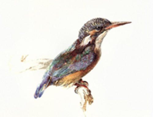 Happy birthday, John Ruskin!